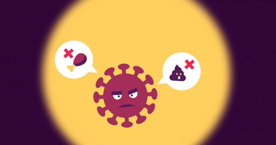 Corona-Virus Videos