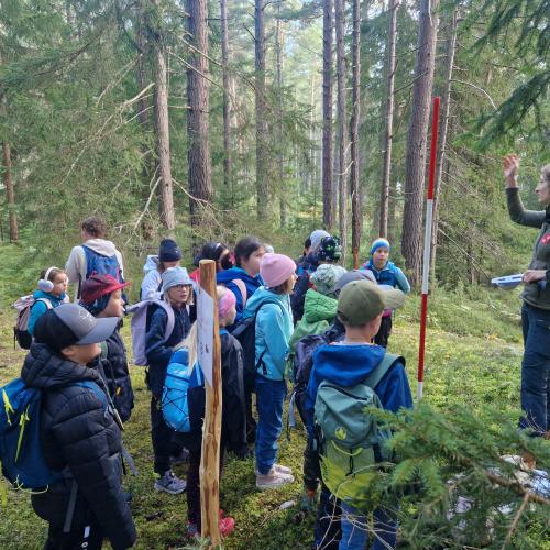 Arbeiten im Wald