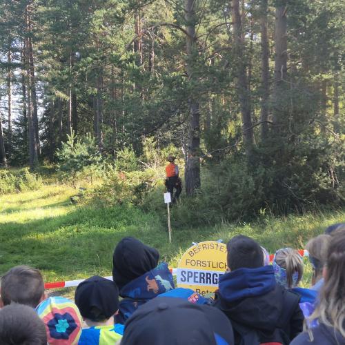 Baum fällt