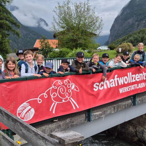 Alles Schafwolle - 3