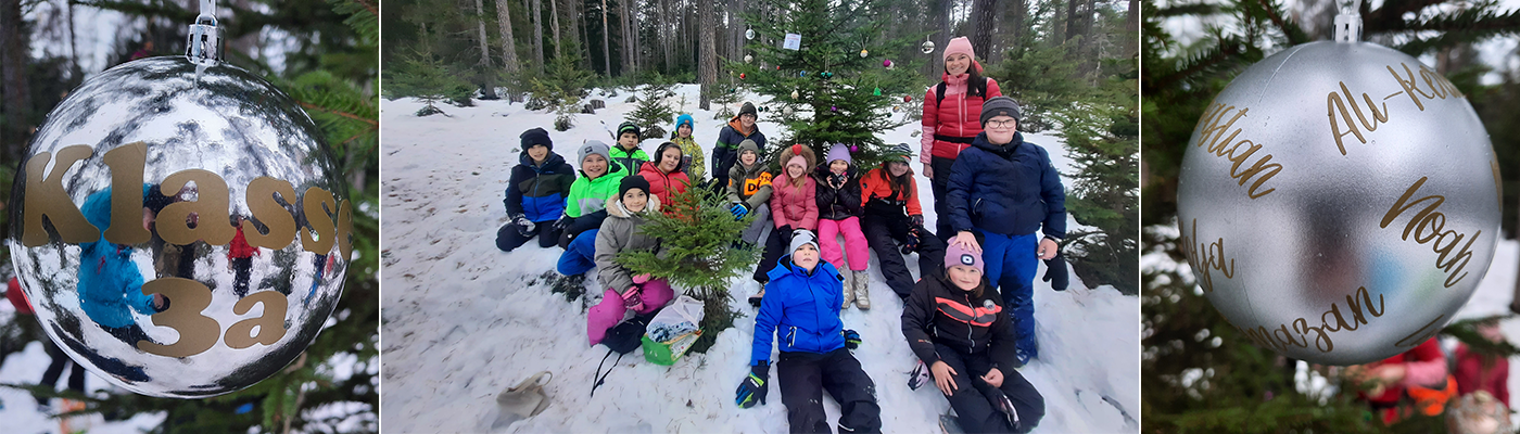 Klasse 3a beim Schmücken eines Weihnachtsbaumes im Wald bei Obtarrenz