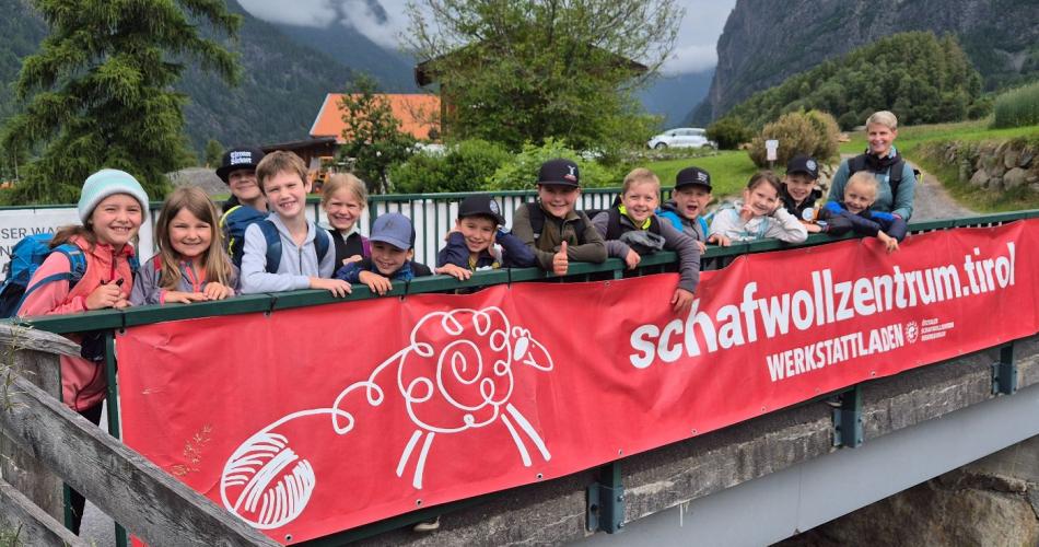 Alles Schafwolle - 3