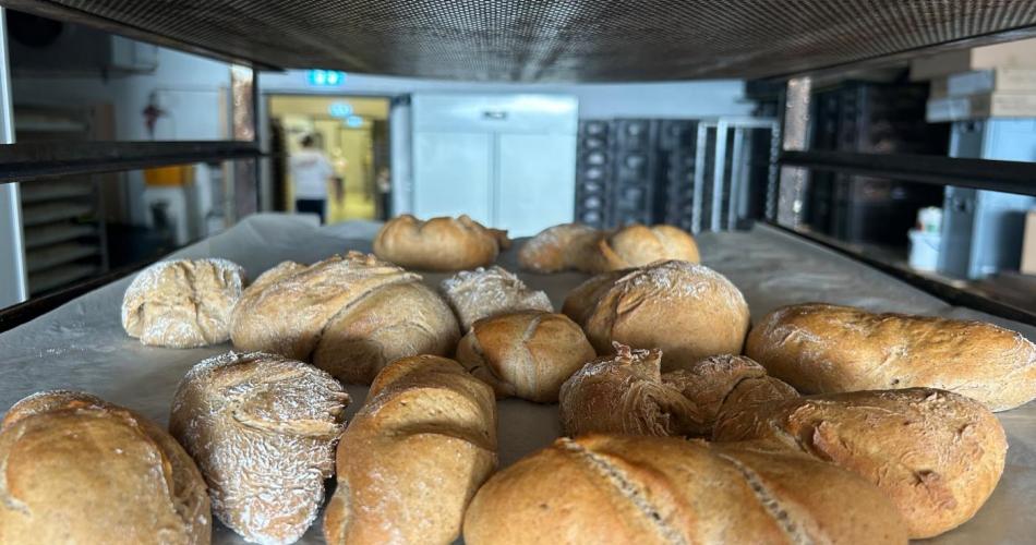 Brot