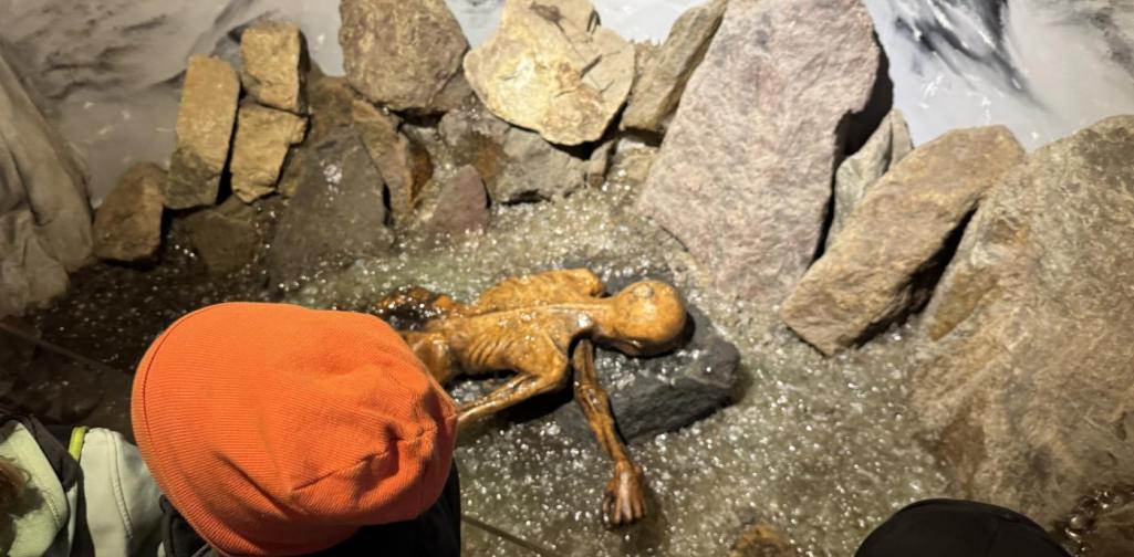 Ötzi1